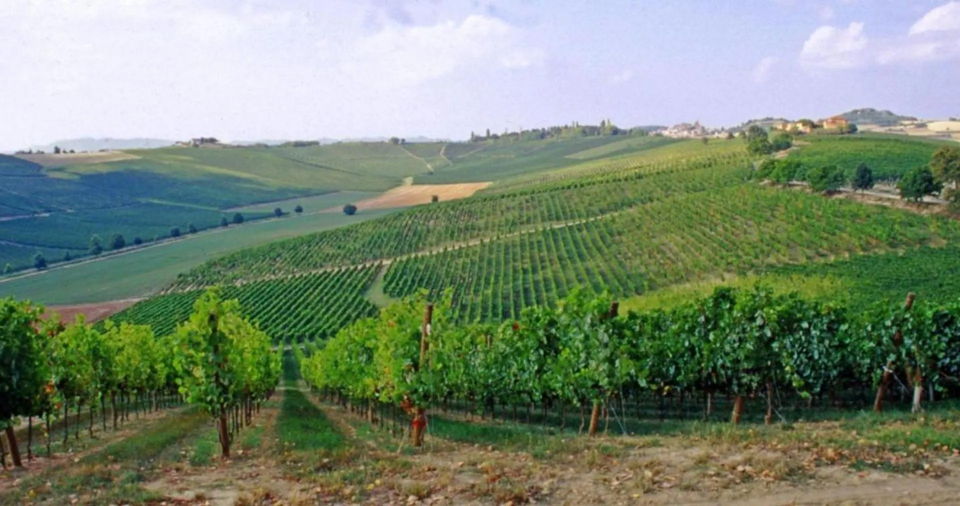 Agriturismo Fattoio Alle Ripe Pelago 0*,